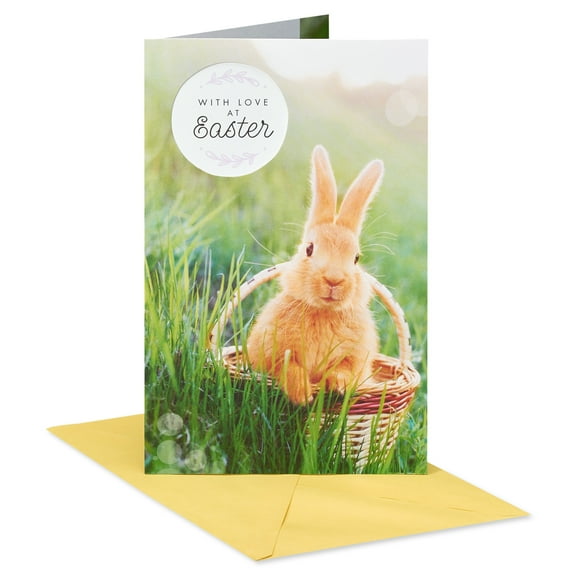 American Greetings Easter Card for Anyone (Springtime Bunny)