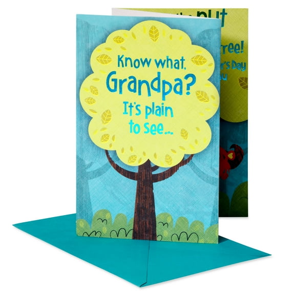 American Greetings Father's Day Card for Grandpa (Fun and Love)