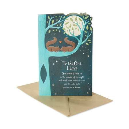 American Greetings Funny Anniversary Card (Nuts About You)
