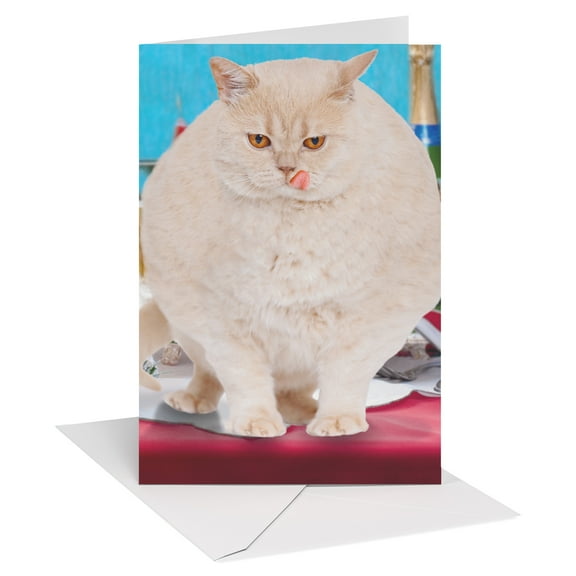 American Greetings Funny Birthday Card (Big Cat No Cake)