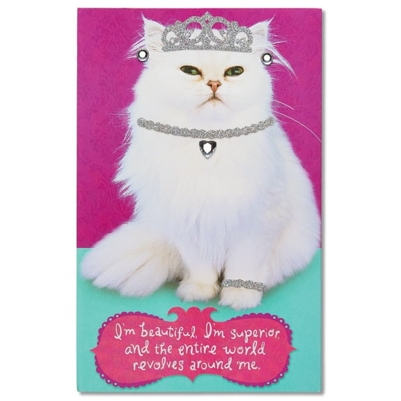 American Greetings Funny Birthday Card for Her (Cat w Jewelry)