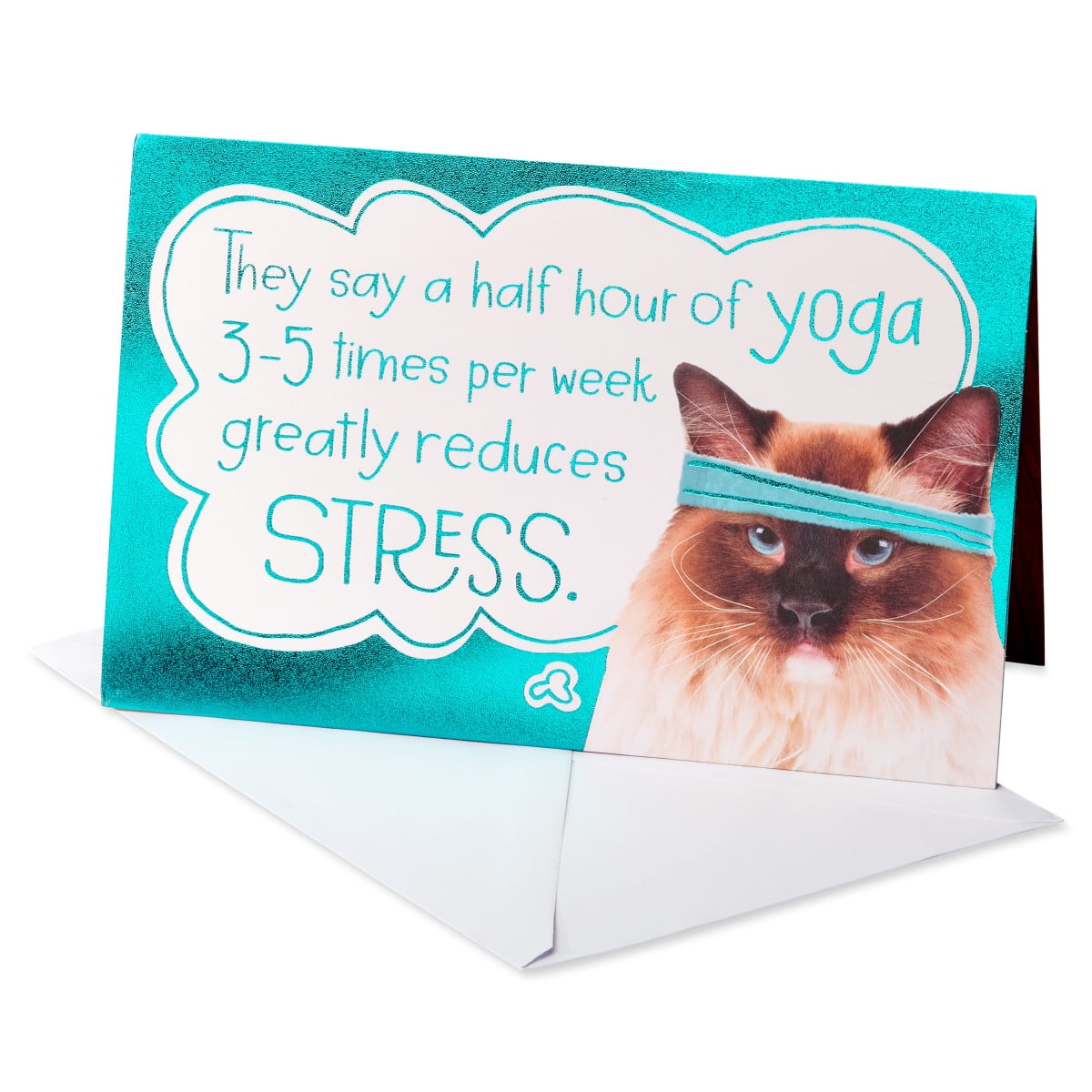 American Greetings Funny Birthday Card for Her (So Does Ice Cream ...