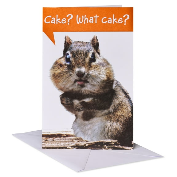 American Greetings Funny Birthday Card with Chipmunk (Cake? What Cake?)