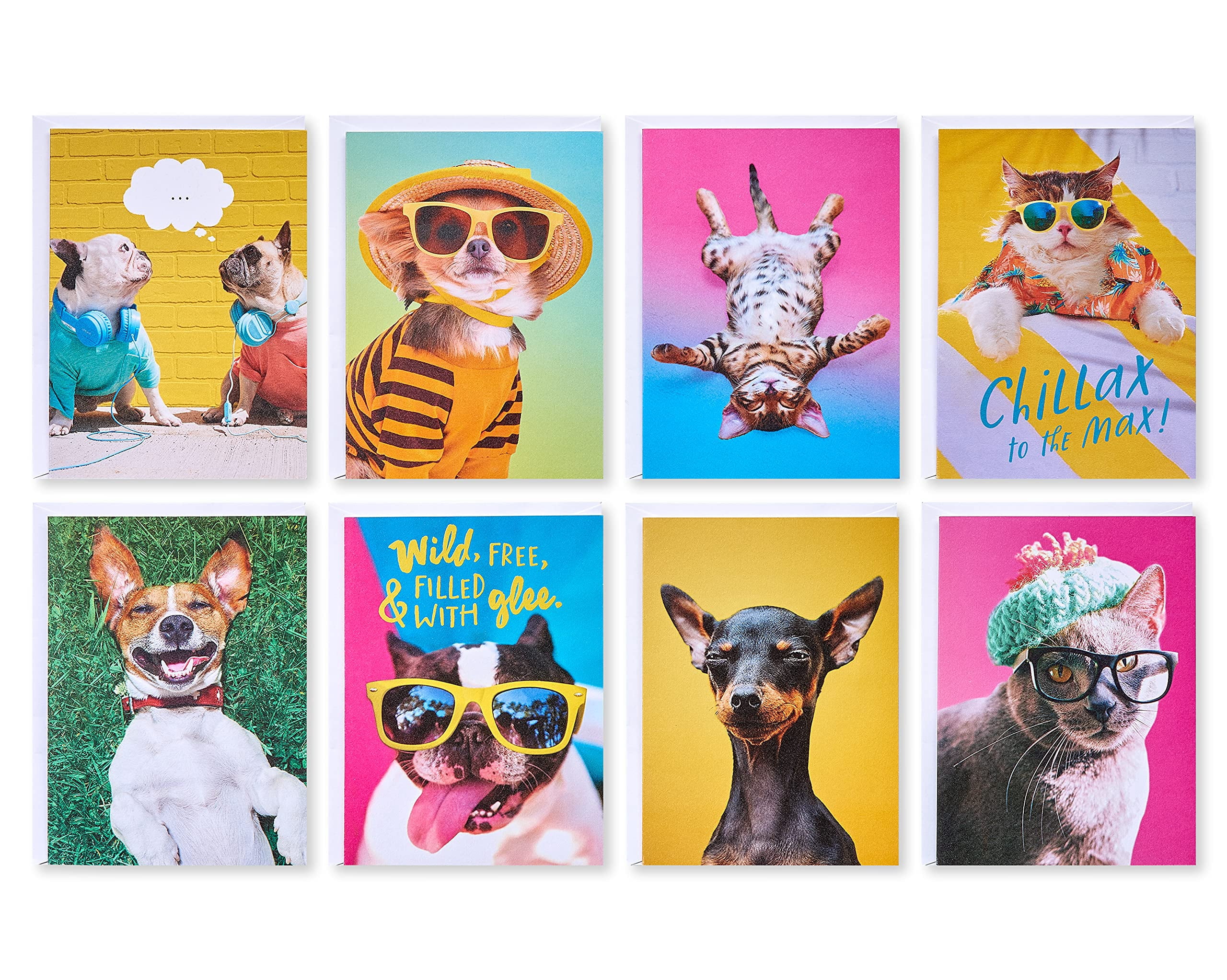 American Greetings Funny Blank Cards with Envelopes for All Occasions ...