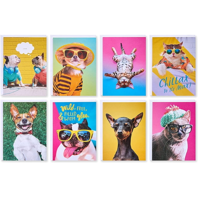 American Greetings Funny Blank Cards with Envelopes for All Occasions ...