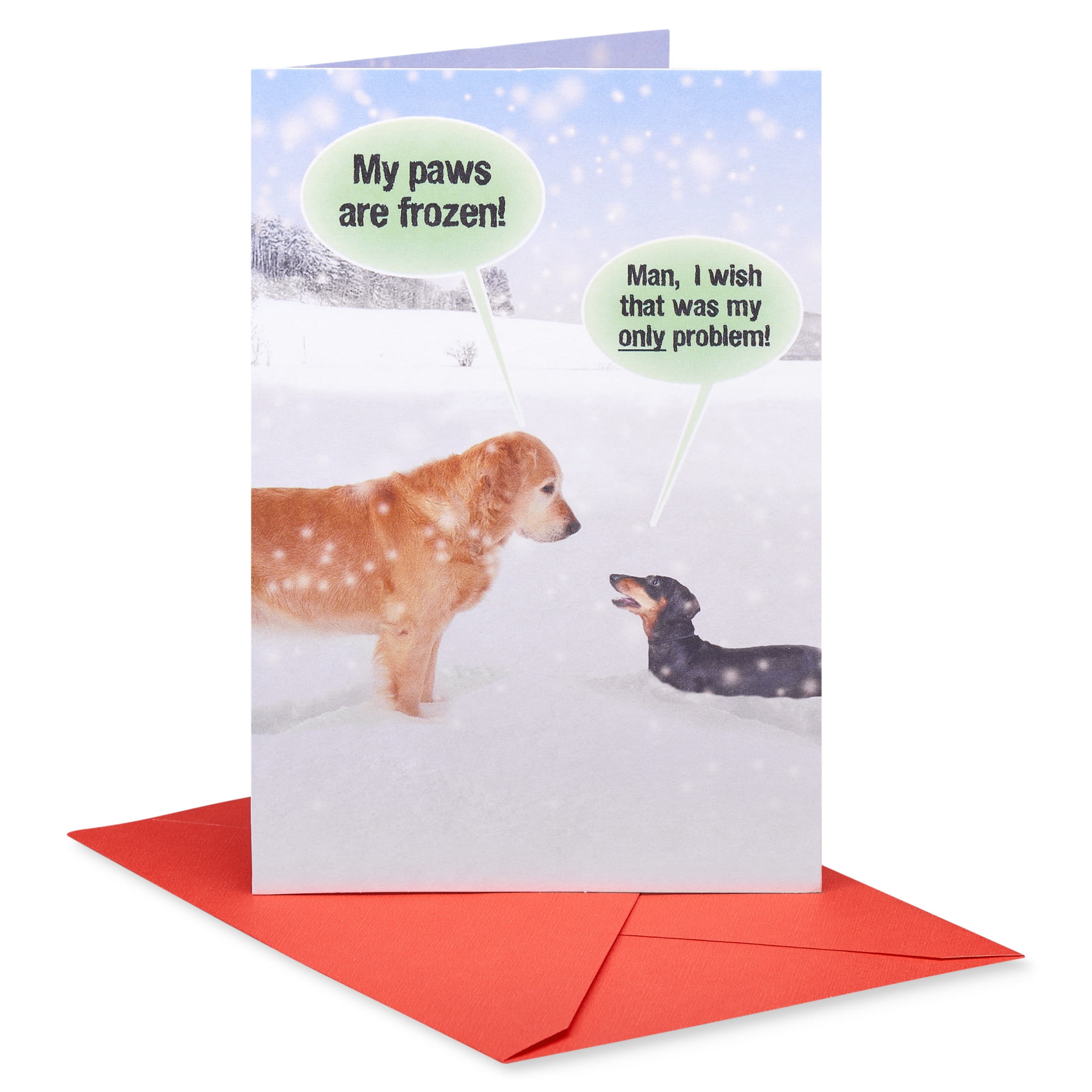 American Greetings Funny Christmas Greeting Card for Anyone, (Warm Wishes)