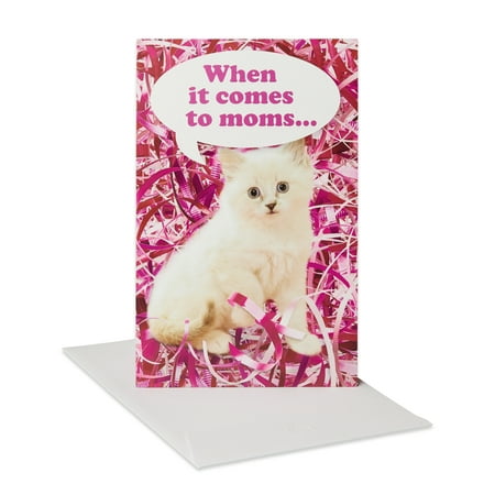 American Greetings Funny Kitten Mother's Day Card with Music