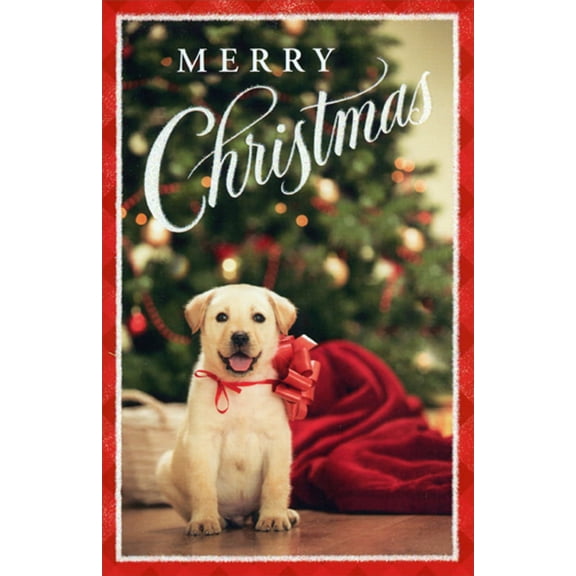 American Greetings Golden Retriever Puppy : Red Bow on Neck Box of 14 Cute Dog Christmas Cards