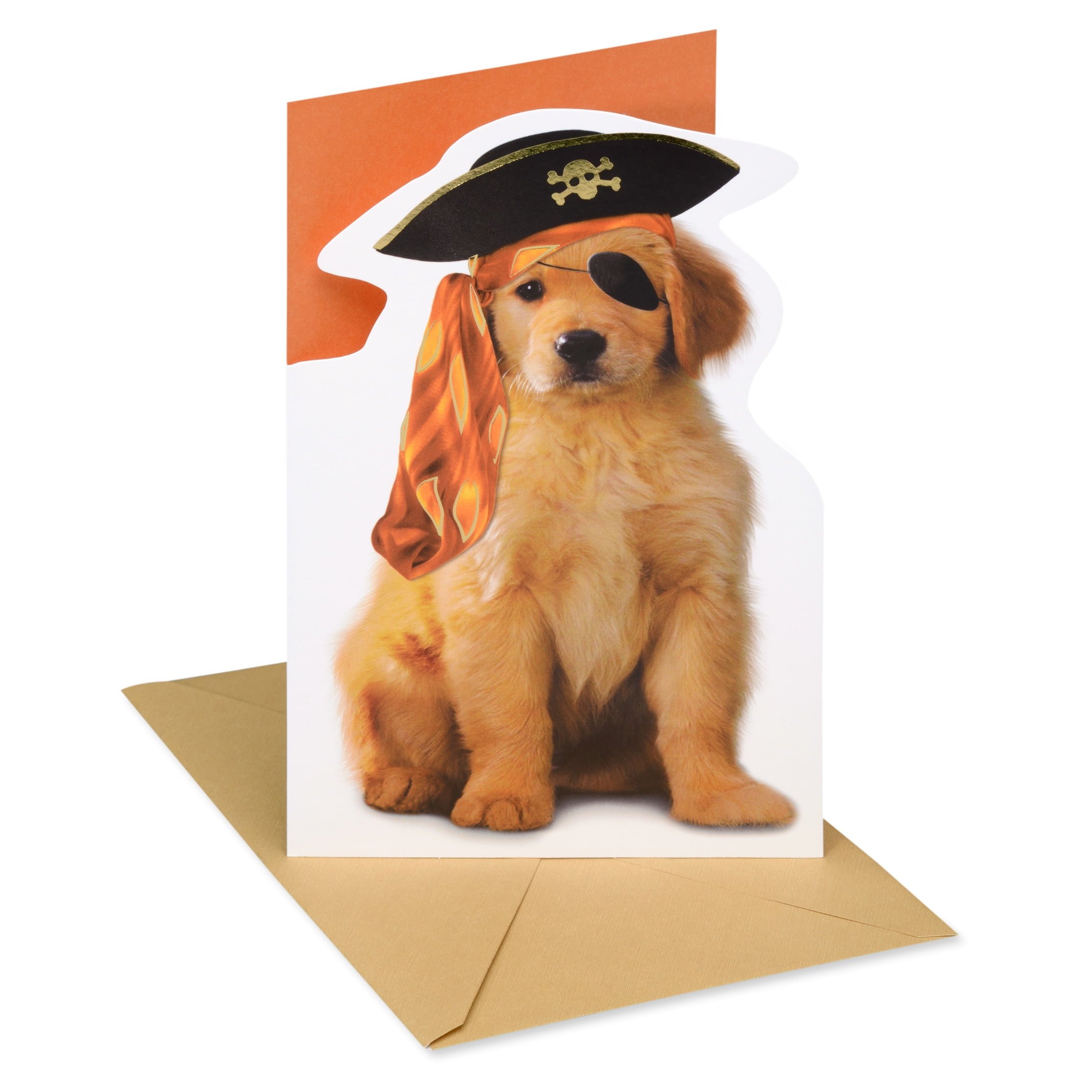 American Greetings Halloween Card for Dog Lovers (Shiver Me Timbers)