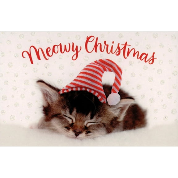 American Greetings Meowy Christmas Sleeping Kitten in Red and White Striped Hat Box of 14 Christmas Cards