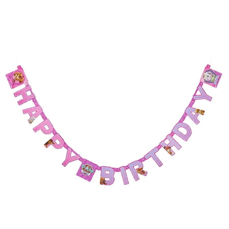 American Greetings PAW Patrol Girl Birthday Party Banner