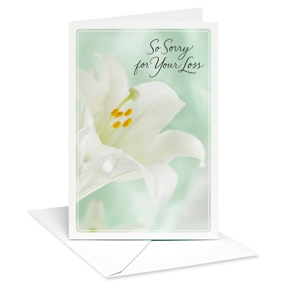 American Greetings Sympathy Card (So Sorry for Your Loss)