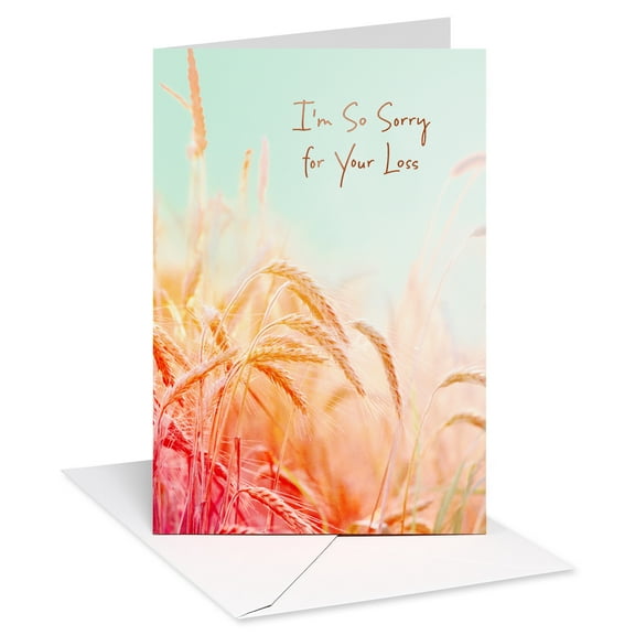 American Greetings Sympathy Card for Anyone (I'm So Sorry for Your Loss)