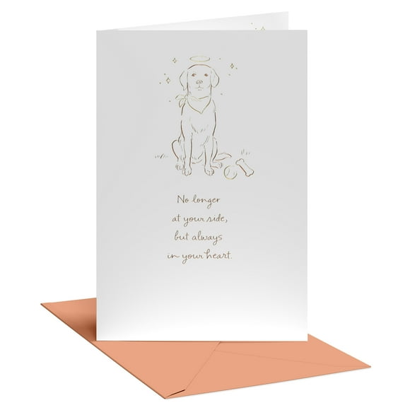 American Greetings Sympathy Card for Loss of Pet (Always in Your Heart)