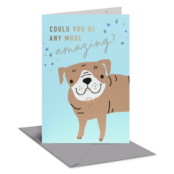 American Greetings Blank Thank You Card (Could You Be Any More Amazing?)