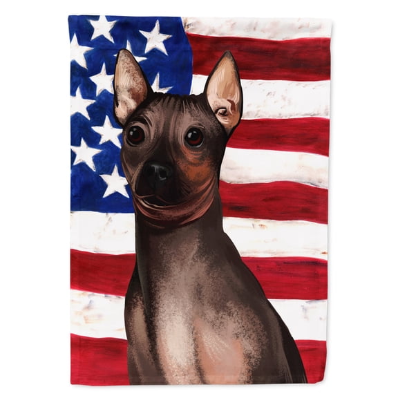 American Hairless Terrier American Flag Flag Canvas House Size