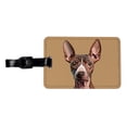 thumbnail image 1 of American Hairless Terrier Staring Faux Leather Travel Luggage Tag, 1 of 7