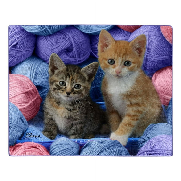 Snuggie for cats clearance