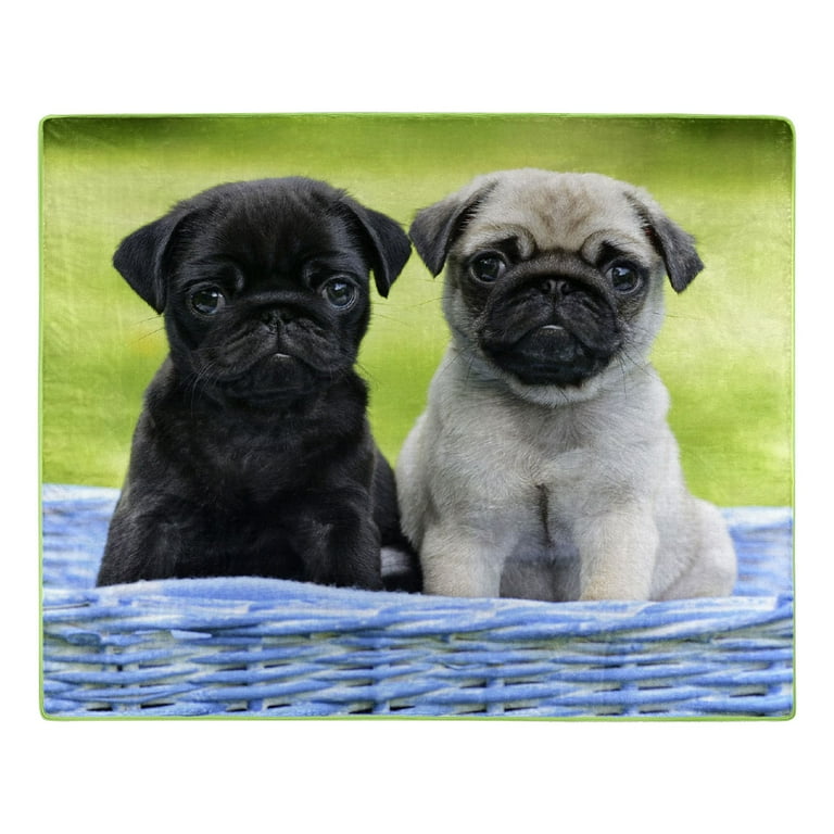 Pug blankets for sale hotsell