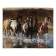 thumbnail image 1 of American Heritage Collection "Rush Hour" Royal Plush Raschel Throw Blanket, 50" x 60", 1 of 5