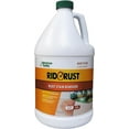 American Hydro Systems 2662 Rid O Liquid Rust Stain Remover, 1Gallon