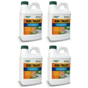 American Hydro Systems RR1 Rid O Rust 2X Concentration Stain Preventer, 1/2 Gallon Bottle, Pack of 4