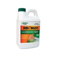 thumbnail image 1 of American Hydro Systems Rid O' Rust 64 oz. Rust Preventer (Pack of 4), 1 of 2