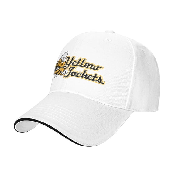 American International College Casual Sandwich Baseball Cap Adjustable For Men For Women