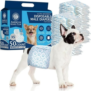 Male Dog Wraps Disposable