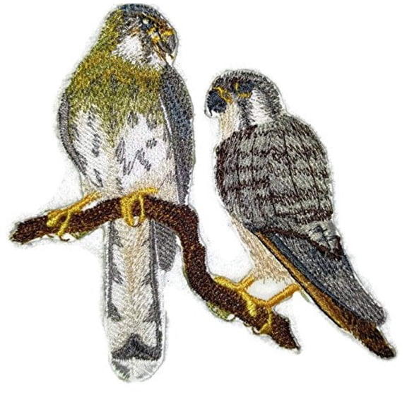 American Kestrel Pair Embroidered Iron on/Sew patch [5" X 5"]