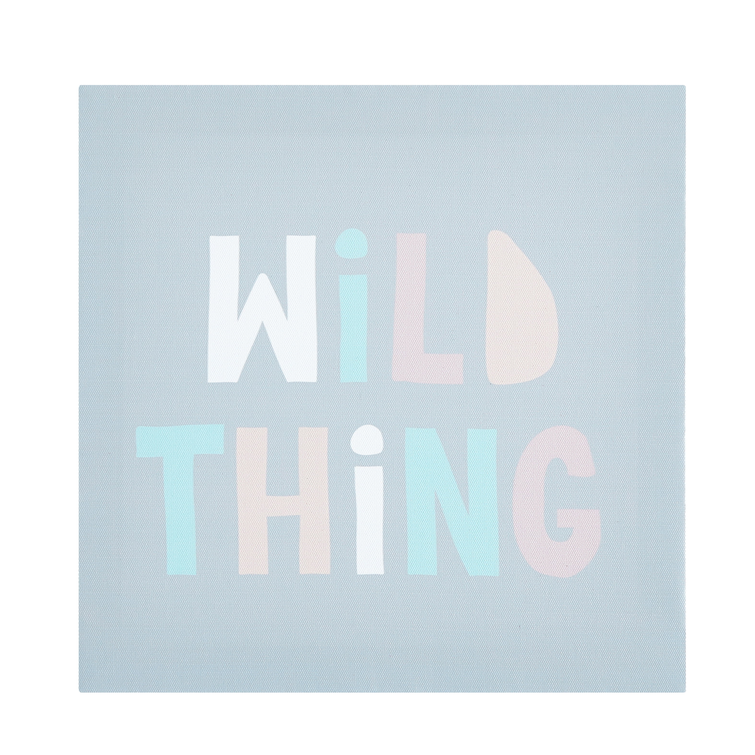 American Kids Safari Wild Thing Multicolored Canvas Wall Art for Children's Room Décor