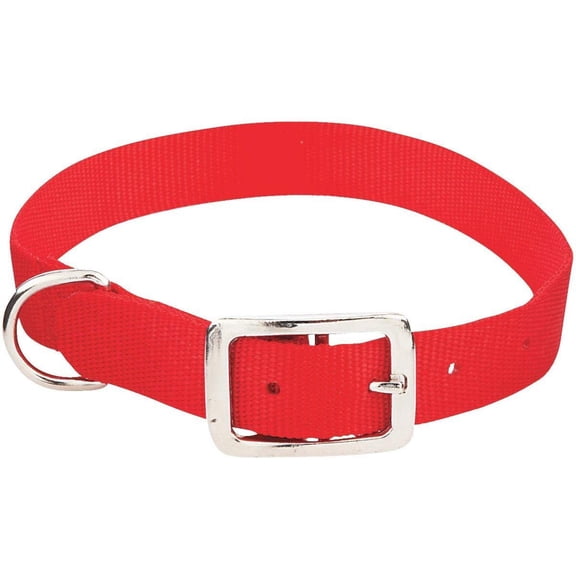 American Leather Dog Collar #31422 Buckle Adjustable - 1x22 In, Large, Single Piece