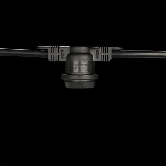 American Lighting LS-MNS-24-100-BK Commercial Grade Light String, 50 E26 Non-Suspended Sockets, Black - 100 ft.