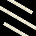 thumbnail image 1 of American Lighting SPTL-SCOB-WW-16 IP54 3000K 16.4 ft. Spec Grade COB Tape Light, 1 of 1