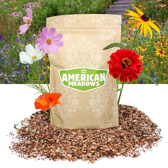 American Meadows Summer Splash Wildflower Seed MVR1Mix (1/4 lb) - Exclusive & Colorful Mix for Beginners and Experts Alike, Non-GMO, Pollinator-Friendly, Easy-to-Grow