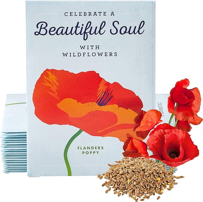 American Meadows Wildflower Seed Packets "Celebrate a Beautiful Soul