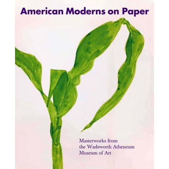 American Moderns on Paper : Masterworks from the Wadsworth Atheneum Museum of Art (Hardcover)