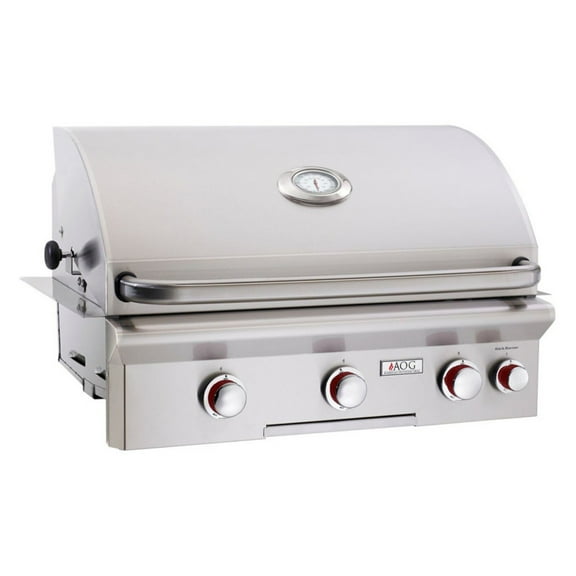 American Outdoor Grill T-Series 30 in. Built-In Gas Grill