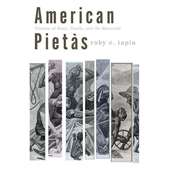 Pre-Owned American Pietàs: Visions of Race, Death, and the Maternal (Paperback) 0816653119 9780816653119