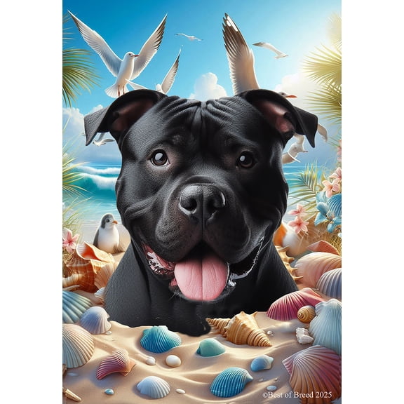 American Pit Bull Black - Best of Breed Summer Beach Outdoor Garden Flag 12" x 17" Mailbox Flag Dog Flag