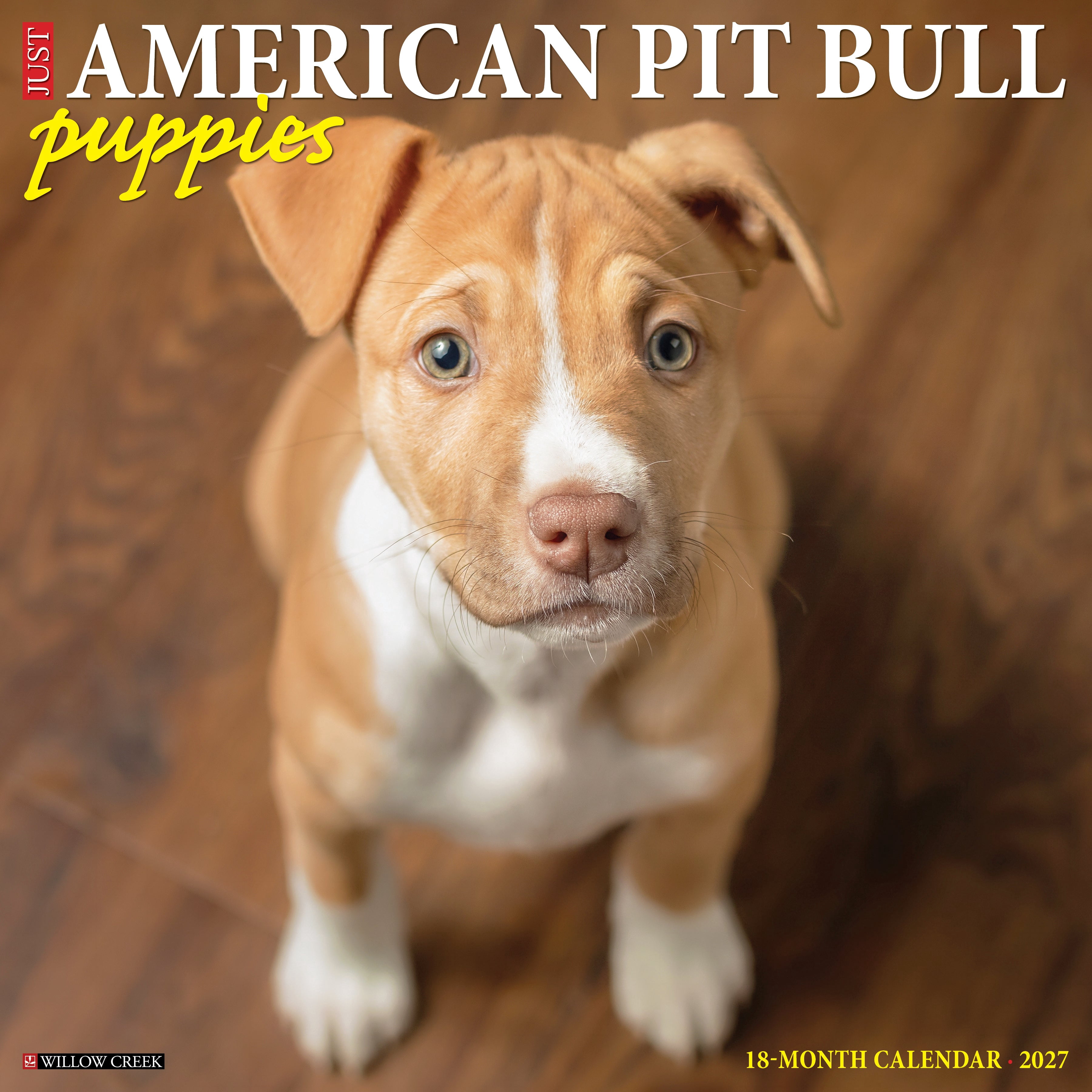 Willow Creek Press, American Pit Bull Terrier Puppies 2027 Wall Calendar