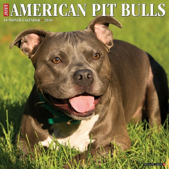 American Pit Bull Terriers 2026 Wall Calendar, (Paperback)
