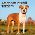 thumbnail image 1 of American Pit Bull Terriers | 2027 12x24" (Hanging) Wall Calendar | Plastic-Free, 1 of 9