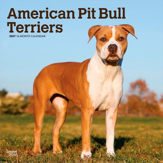 American Pit Bull Terriers | 2027 12x24" (Hanging) Wall Calendar | Plastic-Free