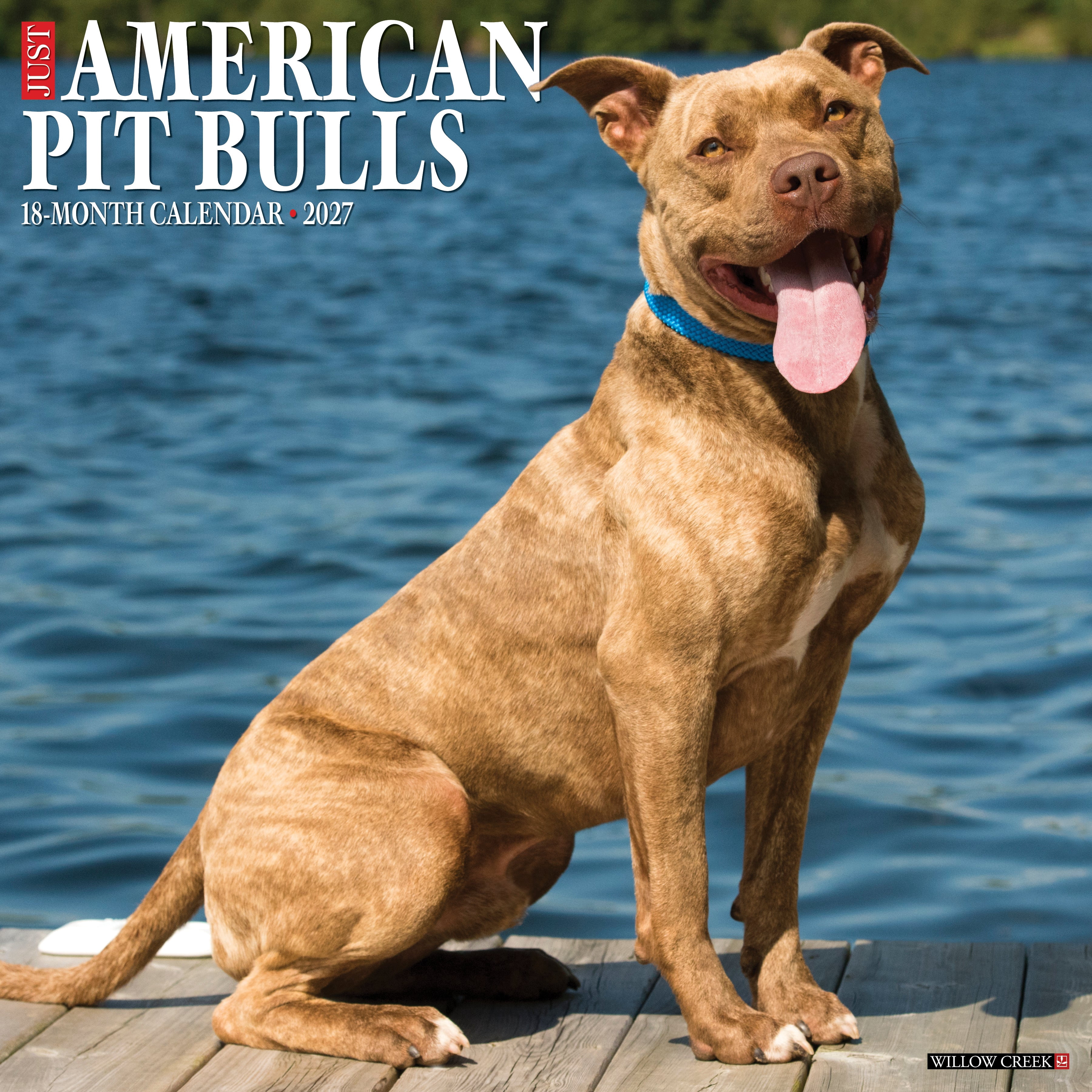 Willow Creek Press, American Pit Bull Terriers 2027 Wall Calendar