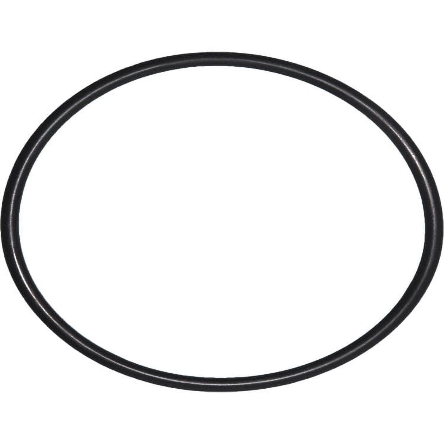 American Plumber W10-OR 152032 O-Ring For Heavy Duty Filter