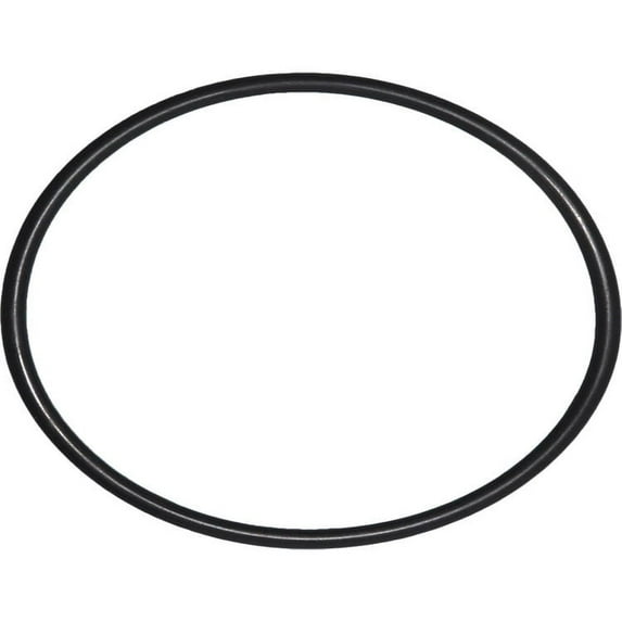 American Plumber W10-OR 152032 O-Ring For Heavy Duty Filter