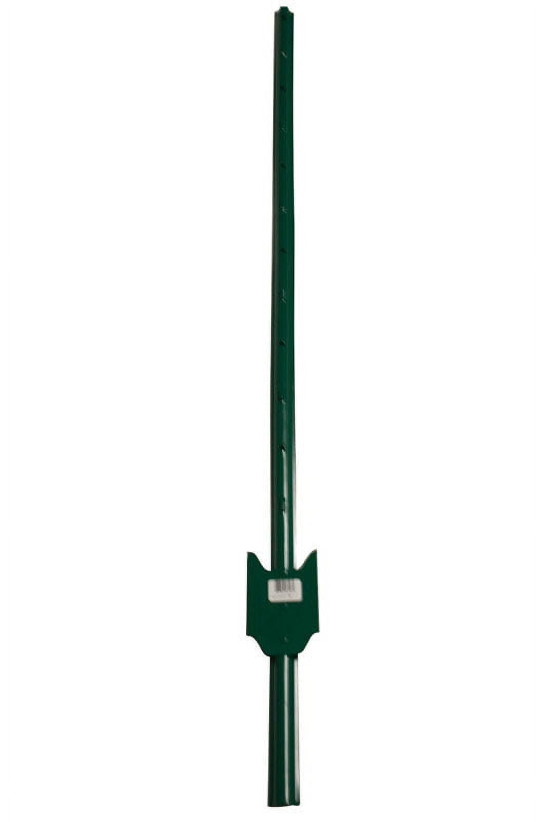 American Posts 4 ft. H 14 Ga. Powder Coated Green Steel U-Post American Posts 4 ft. H 14 Ga. Powder Coated Green Steel U-Post
