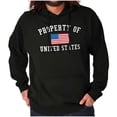 thumbnail image 1 of American Pride Patriotic July 4th Unisex Plus Fleece Graphic Hoodie Brisco Brands 2X, 1 of 6
