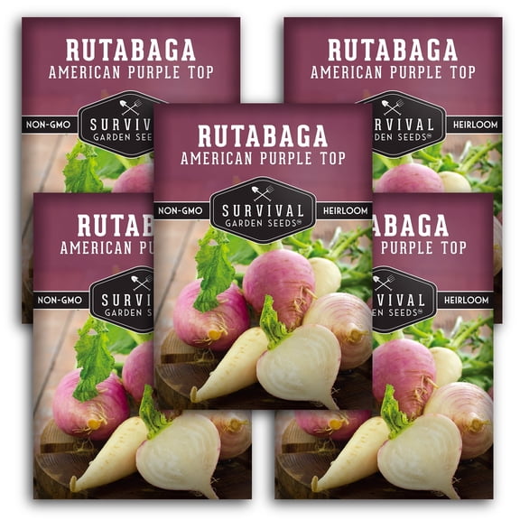 American Purple Rutabaga Seeds - 5 Pack - Non-GMO Heirloom Full Sun Annual Vegetable